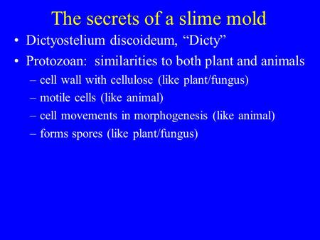 The secrets of a slime mold Dictyostelium discoideum, “Dicty” Protozoan: similarities to both plant and animals –cell wall with cellulose (like plant/fungus)