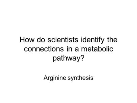 How do scientists identify the connections in a metabolic pathway? Arginine synthesis.