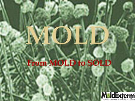 From MOLD to SOLD.  Myths  Bleach kills mold  Dead Mold is fine  Not all molds are harmful  Truth  Over 100,000 different Molds  Mold needs four.