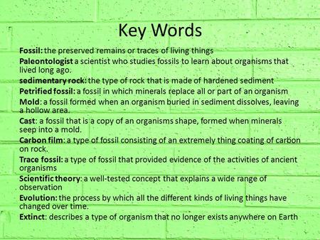 Key Words Fossil: the preserved remains or traces of living things Paleontologist a scientist who studies fossils to learn about organisms that lived long.