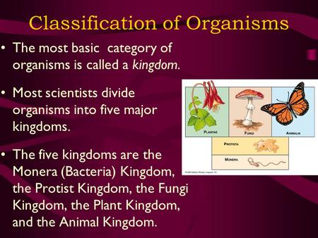 Classification of Organisms