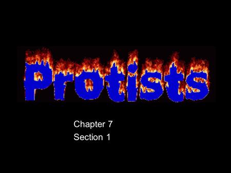 Chapter 7 Section 1. What is a Protist? Eukaryotes, (have nuclei) Live in moist surroundings. Most are unicellular, but some are multicellular. Some are.