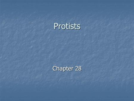 Protists Chapter 28. In the beginning… van Leeuwenhoek when observing protozoa: –“no more pleasant site has met my eye than this” (1681) –“My excrement.