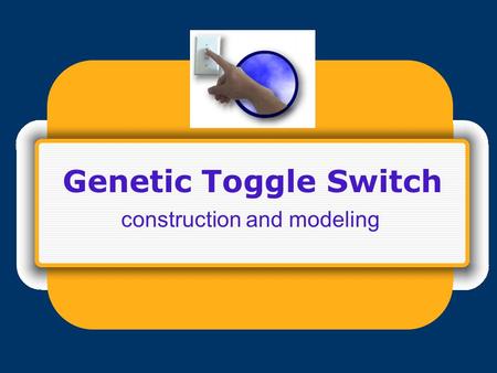 Genetic Toggle Switch construction and modeling. Toggle switch design.