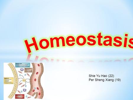 Homeostasis Shie Yu Hao (22) Per Sheng Xiang (19).