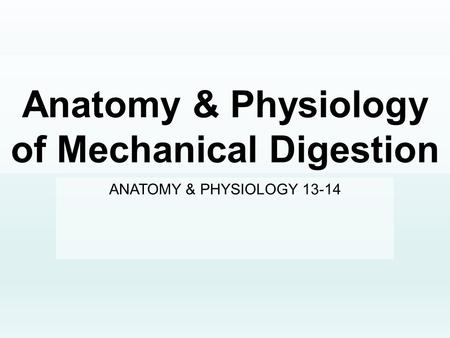 Anatomy & Physiology of Mechanical Digestion ANATOMY & PHYSIOLOGY 13-14.