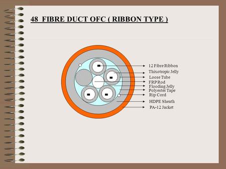 48 FIBRE DUCT OFC ( RIBBON TYPE )