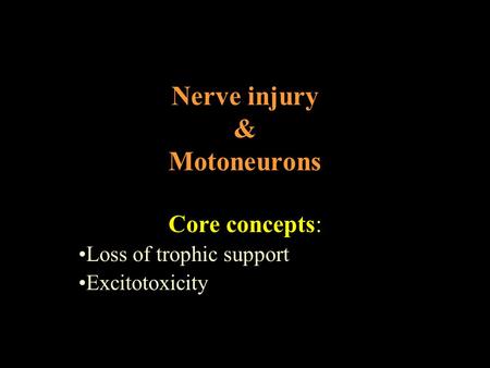 Nerve injury & Motoneurons Core concepts: Loss of trophic support Excitotoxicity.