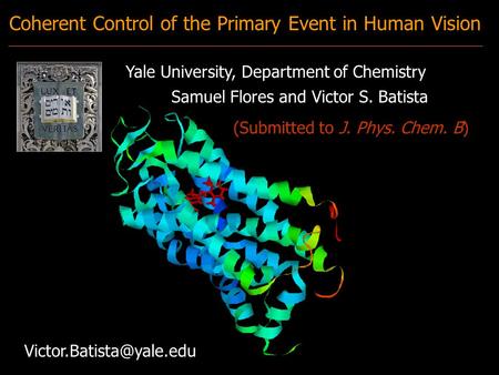 Coherent Control of the Primary Event in Human Vision Samuel Flores and Victor S. Batista Yale University, Department of Chemistry