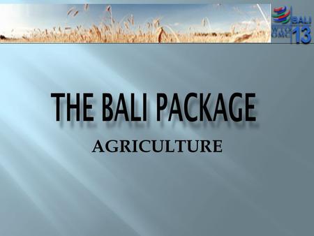 AGRICULTURE. Issues on the table Public stockholding for food security purposes and food aid General services TRQ administration Export competition.