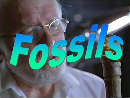 Fossils.