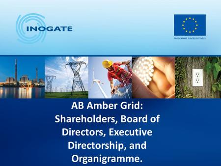 AB Amber Grid: Shareholders, Board of Directors, Executive Directorship, and Organigramme.