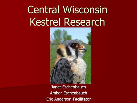 Central Wisconsin Kestrel Research Janet Eschenbauch Amber Eschenbauch Eric Anderson-Facilitator.