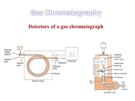 Detectors of a gas chromatograph