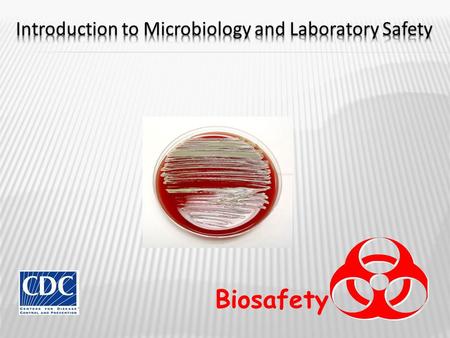 Biosafety. Use and Care of Microorganisms This area of science, may involve many dangers and hazards while experimenting. It is the sole responsibility.