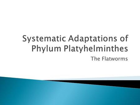 The Flatworms.  Organ level of organization ◦ Well developed, specialized anatomical structures  Incomplete gastrulation ◦ Gastrovascular cavity with.