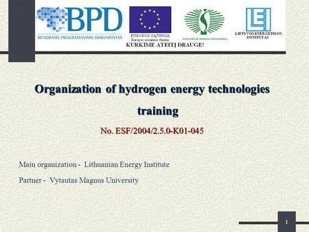 1 Organization of hydrogen energy technologies training No. ESF/2004/2.5.0-K01-045 Main organization - Lithuanian Energy Institute Partner - Vytautas Magnus.