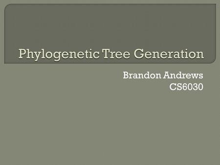 Brandon Andrews CS6030.  What is a phylogenetic tree?  Goals in a phylogenetic tree generator  Distance based method  Fitch-Margoliash Method Example.