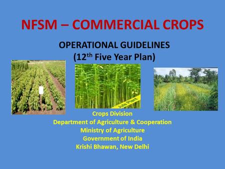 NFSM – COMMERCIAL CROPS Crops Division Department of Agriculture & Cooperation Ministry of Agriculture Government of India Krishi Bhawan, New Delhi OPERATIONAL.