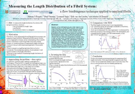 Measuring the Length Distribution of a Fibril System: a flow birefringence technique applied to amyloid fibrils 2. Motivation The fibrils, which self-assemble.