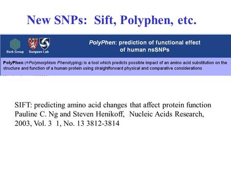 New SNPs: Sift, Polyphen, etc. SIFT: predicting amino acid changes that affect protein function Pauline C. Ng and Steven Henikoff, Nucleic Acids Research,