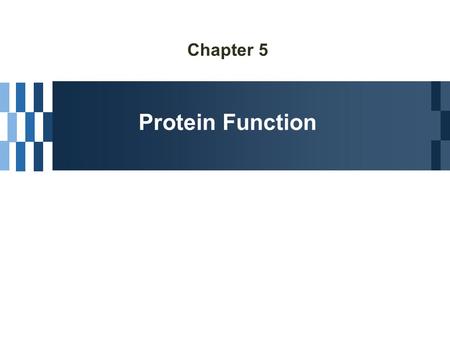 Chapter 5 Protein Function. Interaction of Proteins with Other Molecules Ligand  A molecule binding reversibly to a protein  Other proteins, or any.