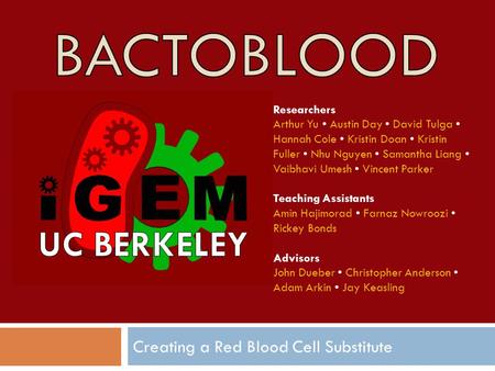 Creating a Red Blood Cell Substitute Researchers Arthur Yu Austin Day David Tulga Hannah Cole Kristin Doan Kristin Fuller Nhu Nguyen Samantha Liang Vaibhavi.