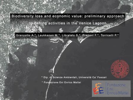 Fishery as a source of biodiversity loss The case study: Venice Lagoon fishing gears commercial catch discard catch conflicts The methodology Trophic.