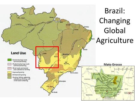 Brazil: Changing Global Agriculture Mato Grosso. Cerrado Region of Brazil noun, plural cerrados. [Portuguese si-rah-doo s] Ecology. 1. a type of plains.