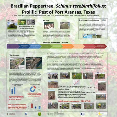 Brazilian Peppertree, Schinus terebinthifolius: Prolific Pest of Port Aransas, Texas L. Allen Smith, Michael Murphrey, Ronald F. Billings, Texas A&M Forest.