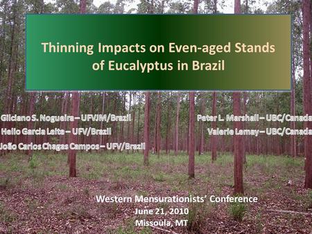 Thinning Impacts on Even-aged Stands of Eucalyptus in Brazil Thinning Impacts on Even-aged Stands of Eucalyptus in Brazil June 21, 2010 Missoula, MT Western.