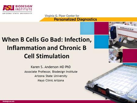 When B Cells Go Bad: Infection, Inflammation and Chronic B Cell Stimulation Karen S. Anderson MD PhD Associate Professor, Biodesign Institute Arizona State.