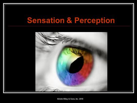 Sensation & Perception