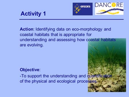 Activity 1 Action: Identifying data on eco-morphology and coastal habitats that is appropriate for understanding and assessing how coastal habitats are.