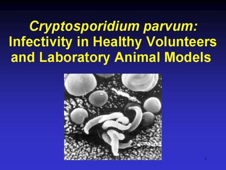 1. 2 Cryptosporidium Volunteer Study Investigators: Cynthia Chappell, PhD Pablo Okhuysen, MD Herbert DuPont, MD Isolates: Charles Sterling, PhD (Iowa)