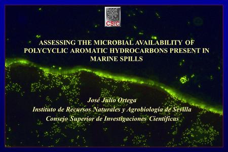 Instituto de Recursos Naturales y Agrobiología de Sevilla Consejo Superior de Investigaciones Científicas José Julio Ortega ASSESSING THE MICROBIAL AVAILABILITY.