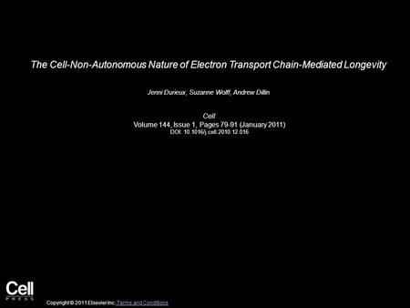 The Cell-Non-Autonomous Nature of Electron Transport Chain-Mediated Longevity Jenni Durieux, Suzanne Wolff, Andrew Dillin Cell Volume 144, Issue 1, Pages.