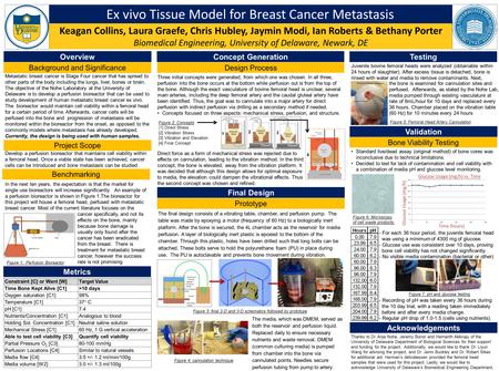 Ex vivo Tissue Model for Breast Cancer Metastasis Keagan Collins, Laura Graefe, Chris Hubley, Jaymin Modi, Ian Roberts & Bethany Porter Biomedical Engineering,