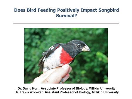 Does Bird Feeding Positively Impact Songbird Survival? Dr. David Horn, Associate Professor of Biology, Millikin University Dr. Travis Wilcoxen, Assistant.