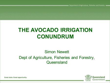 THE AVOCADO IRRIGATION CONUNDRUM