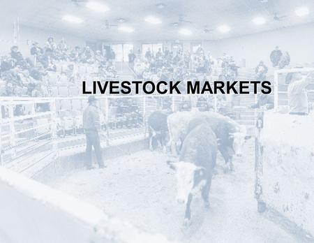 LIVESTOCK MARKETS. HOW DO MOST LIVESTOCK MOVE TO MARKET?