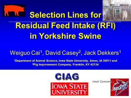 Selection Lines for Residual Feed Intake (RFI) in Yorkshire Swine Weiguo Cai 1, David Casey 2, Jack Dekkers 1 1 Department of Animal Science, Iowa State.