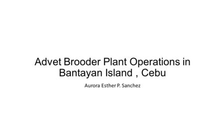 Advet Brooder Plant Operations in Bantayan Island, Cebu Aurora Esther P. Sanchez.