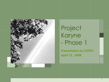 1 Project Karyne - Phase 1 Presentation to CEPEO April 15, 2008.