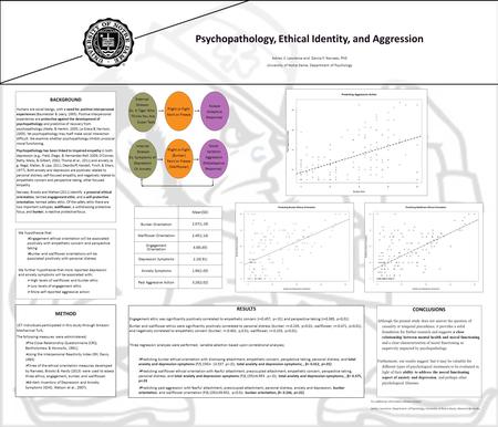 Psychopathology, Ethical Identity, and Aggression BACKGROUND Humans are social beings, with a need for positive interpersonal experiences (Baumeister &