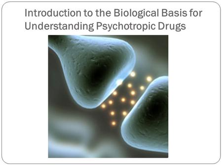 The cellular composition f the brain