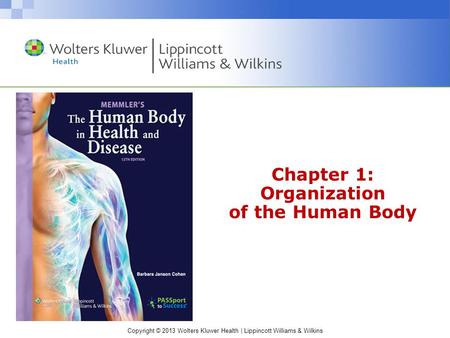 Chapter 1: Organization of the Human Body