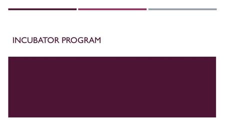 INCUBATOR PROGRAM. WHAT IS AN INCUBATOR PROGRAM?  Support Alumni who wish to establish solo practice with training, mentoring, and networking  Increase.