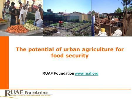 The potential of urban agriculture for food security RUAF Foundation www.ruaf.orgwww.ruaf.org.