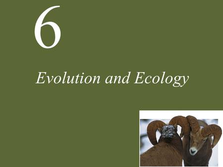 Evolution and Ecology.